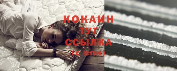 прущая мука Горняк