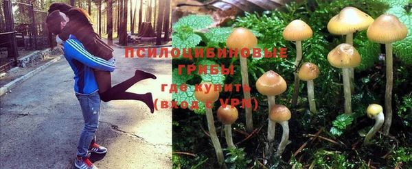 трава Горнозаводск