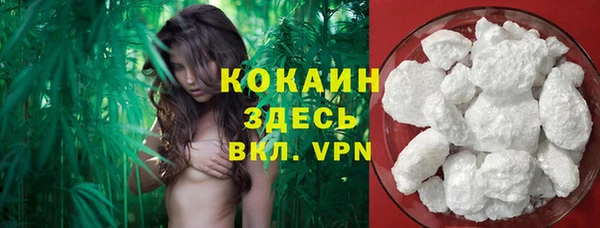 прущая мука Горняк